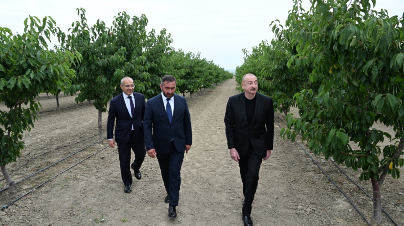 Президент Ильхам Алиев принял участие в открытии Евлахского пилотного агропарка