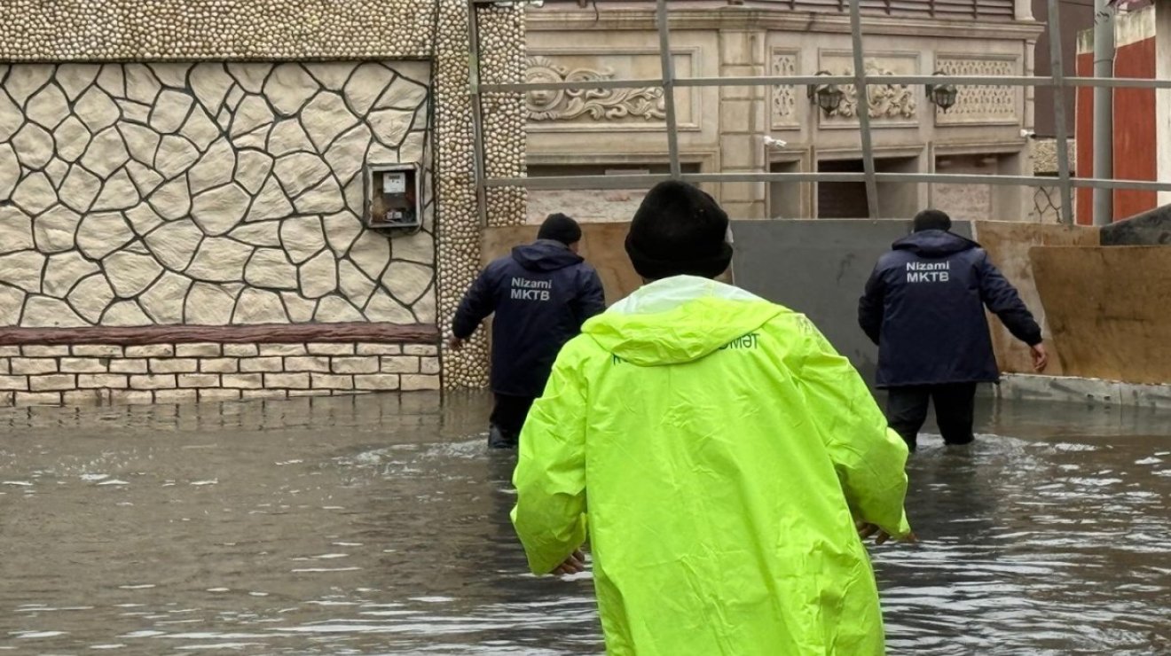 Власти выдержали экзамен