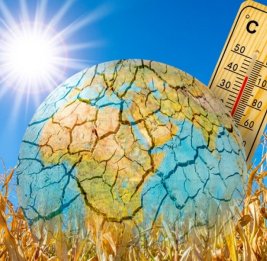 ВМО: жара не спадает, в странах Европы объявлен «красный» уровень угрозы