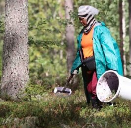 В ООН рассмотрят вопрос эксплуатации труда сборщиков ягод в Швеции и Финляндии
