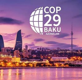 COP29: содействие адаптации       
