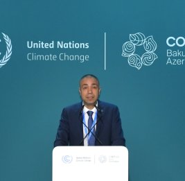 Эльнур Солтанов: Председательство COP29 привержено продвижению принципов справедливого перехода на низкоуглеродную экономику