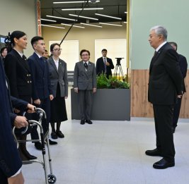 Токаев призвал не создавать ажиотаж вокруг метапневмовируса