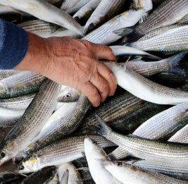 Спрос растет, а запасы тают