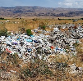 Синдром стихийной свалки