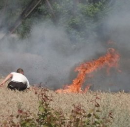 Плодородие в огне