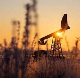 
Нефть подорожала на мировых биржах