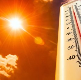 
Завтра в Азербайджане ожидается 38 градусов тепла