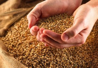 В Азербайджане установлен объем запасов Государственного зернового фонда