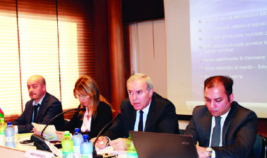 В Вероне состоялась презентация на тему «Азербайджан: возможности бизнеса для Италии»