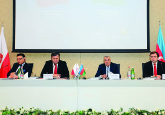 Натиг Алиев: «Опыт польских компаний сыграет важную роль в создании промышленных центров и технических парков»