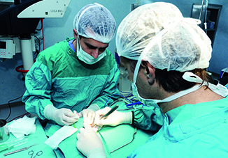 При поддержке Фонда Гейдара Алиева проведены операции кохлеарной имплантации лицам с нарушением слуха