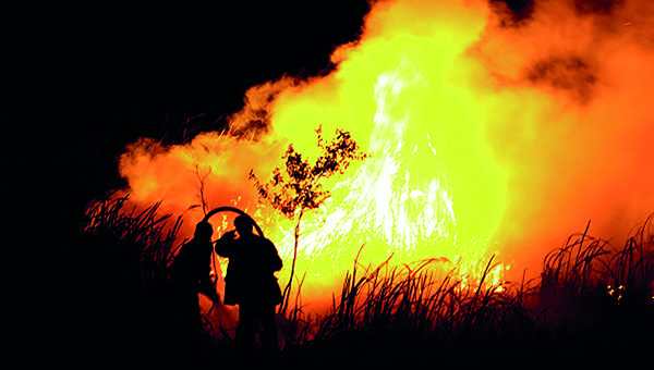 В Индонезии более 22 тыс. человек направлены на борьбу с лесными пожарами