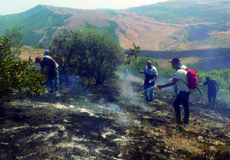 Потушен пожар, произошедший в Гызылагаджском заповеднике