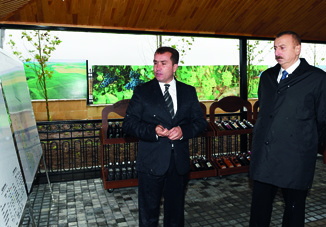 Президент Ильхам Алиев ознакомился в Шамахе с виноградными садами, принадлежащими ООО Az-Granata