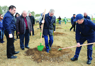 Началась кампания по посадке деревьев по случаю 25-летия со дня создания партии «Ени Азербайджан»