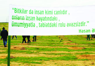 В ходе субботника, посвященного 110-летнему юбилею академика Гасана Алиева, посажено 4500 миндальных деревьев