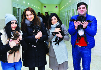 Группа молодых сотрудников АЗЕРТАДЖ побывала в Центре заботы о животных IDEA