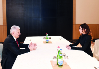 Первый вице-президент Азербайджана Мехрибан Алиева встретилась с премьер-министром Турции Бинали Йылдырымом