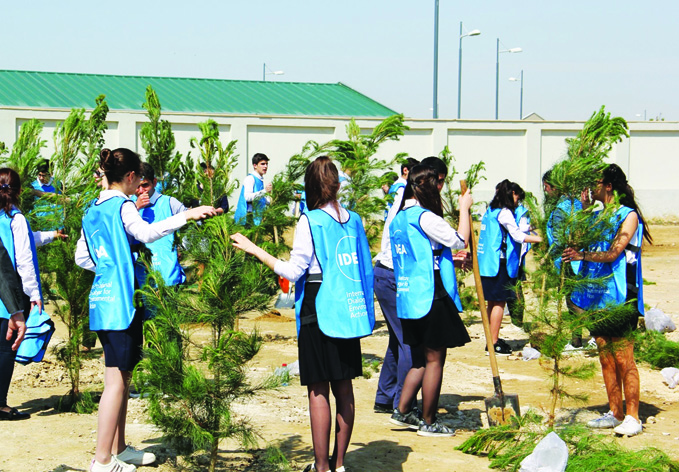 В Гарадагском районе прошла акция по посадке деревьев, приуроченная ко дню рождения общенационального лидера Гейдара Алиева