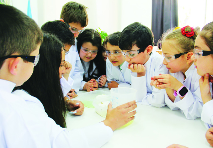 В рамках проекта «Экологическая лаборатория для детей» прошел тренинг на тему палеонтологии