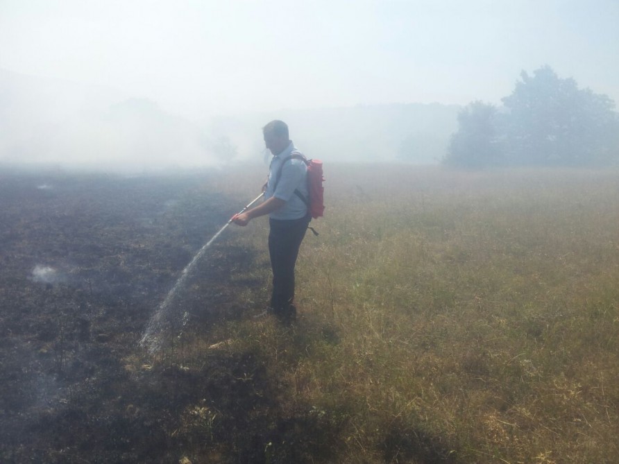 В результате пожара на территории площадью 100 гектаров сгорели сухостой и кустарники