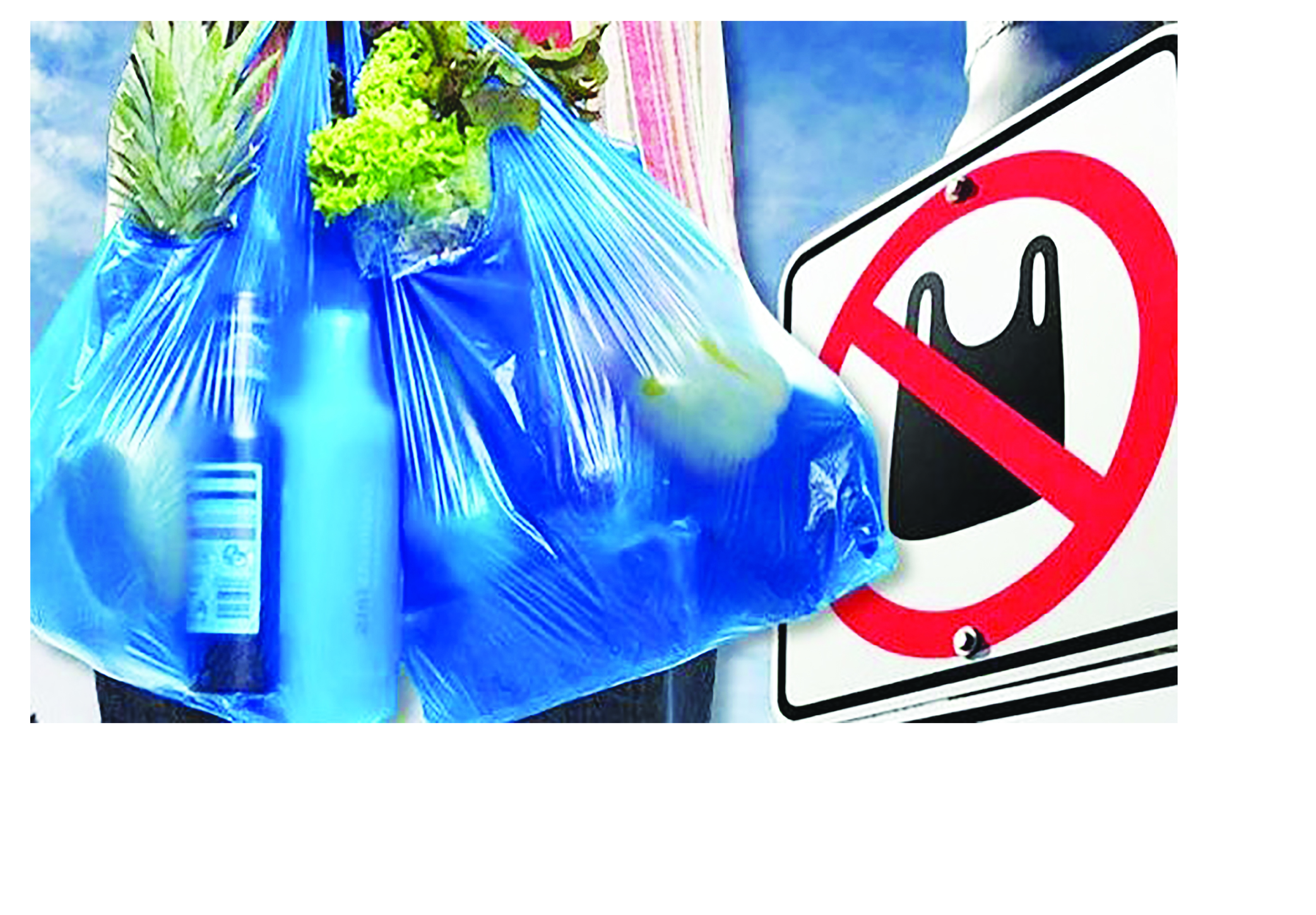 Новая Зеландия прекратитиспользование одноразовыхпластиковых пакетов