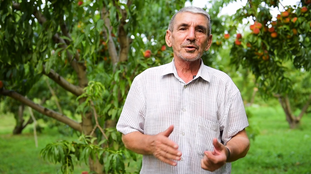 Фермер из Хачмаза: «Государство предоставило нам возможность,и мы, воспользовавшись ею, разбили здесь сады»