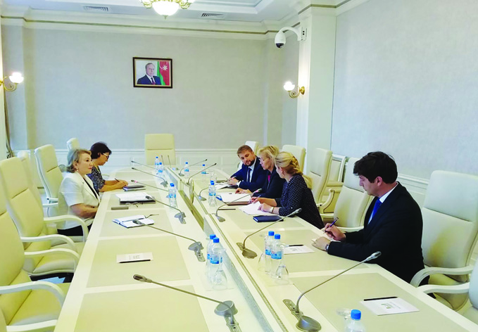 В Милли Меджлисе состоялась встреча с председателем комитета иностранных дел Палаты депутатов Румынии