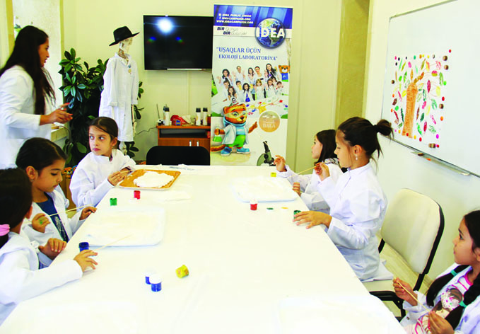 Очередной тренинг «Экологической лаборатории для детей» был посвящен временам года и деревьям