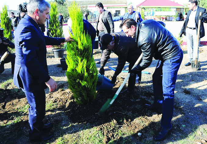 По случаю 100-летнего юбилея азербайджанской юстиции прошла акция по посадке деревьев