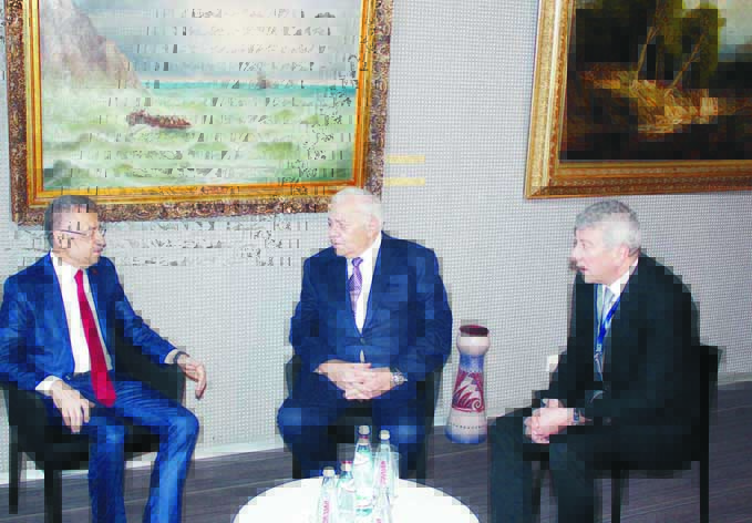 Председатель Милли Меджлиса Огтай Асадов встретился с вице-президентом Турции