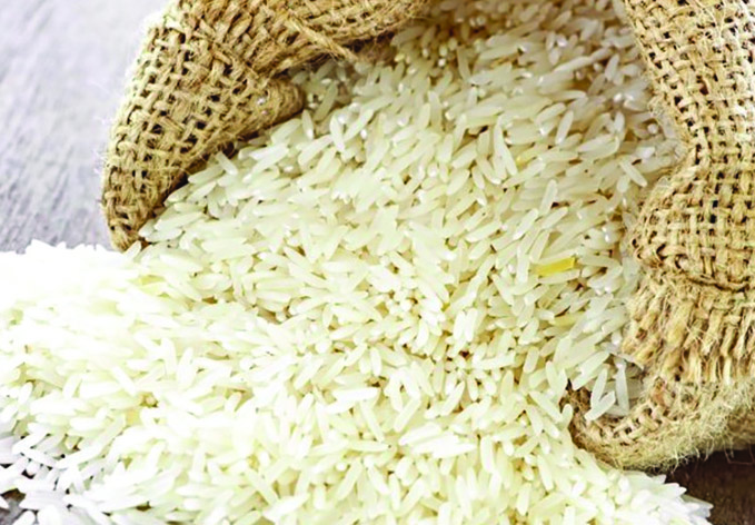 Новый метод выращивания риса
