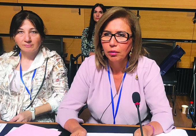 Руководитель делегации Милли Меджлиса выступила на сессии ПА ОБСЕ