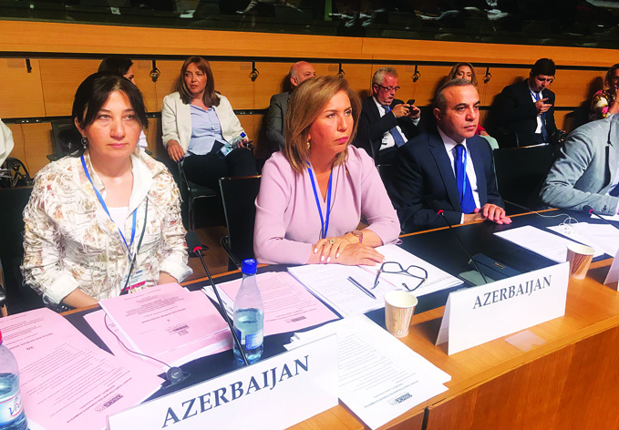 Делегация Милли Меджлиса принимает участие в работе ежегодной сессии Парламентской ассамблеи ОБСЕ