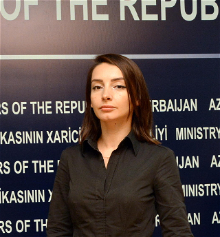 Лейла Абдуллаева: «Руководство Армении прибегает к распространению полных измышлениями заявлений, не выглядящих убедительными»