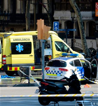 Нападение в пригороде Парижа расследуетантитеррористическая прокуратура