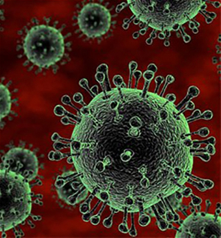 Министр здравоохраненияподписал приказ «Об усилениипрофилактических мер против новогокоронавируса 2019-nCoV»