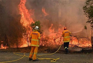 В столичном регионеАвстралии объявили режимЧС из-за лесных пожаров