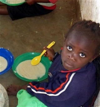 ООН: «В Африке голодают 239 миллионов человек»