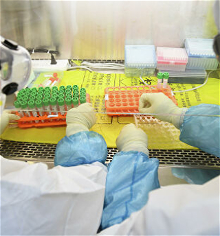 В Китае ускорили клинические испытания препаратов от коронавируса