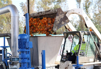 В Испании будут получать биогаз из апельсинов