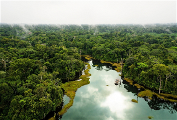 Тропические леса Амазонкидостигают точки невозвратаиз-за изменения климата