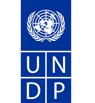 Программа развития ООНоказала поддержку 83 странамв условиях пандемии