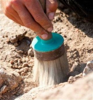 В Марокко раскопали орудия труда,изготовленные миллион лет назад