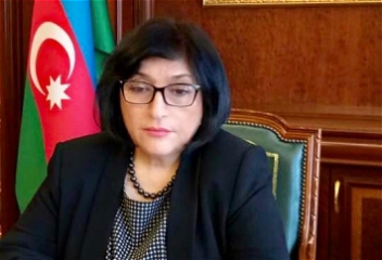 Председатель Милли Меджлиса Сахиба Гафарова провела прием своих избирателей в формате видеоконференции