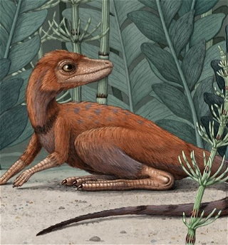 Крохотного предка динозавровнашли на Мадагаскаре