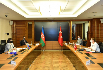 Сахиба Гафарова: «Существующее между Азербайджаном и Турцией единство позволяет нам вместе строить наше будущее»