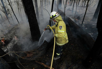 Лесные пожары в Австралииуничтожили половину острова