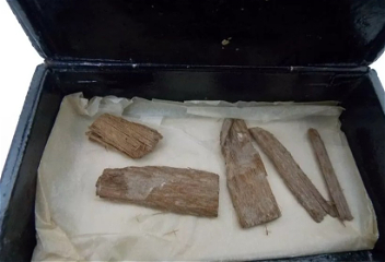 В Шотландии в коробке из-под сигарнашли реликвии из пирамиды Хеопса
